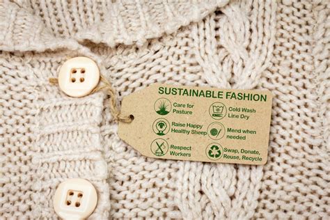  Wool: Sürdürülebilirliğin ve Yumuşaklığın Örüntüsü!