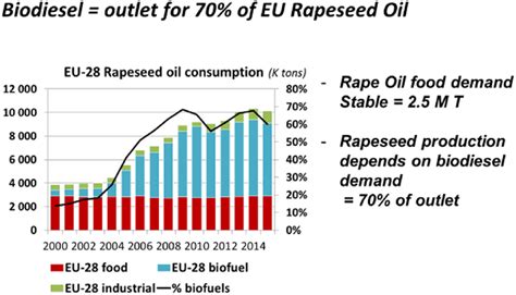 Rapeseed Yağı: Biyoyakıt Üretimi ve Gıda Sanayi İçin Mucizevi Bir Kaynak mı?